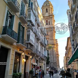 Luxury Catedral Apartment Malaga